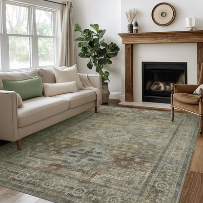 DEORAB 3x5 Ultra-thin Area Rugs for Living Room Bedroom, Machine Washable Stain Resistant Non-Shed Carpet, Low Pile Mat with Non Slip Backing