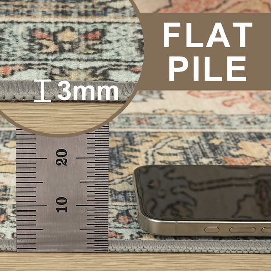 DEORAB 3X5 Area Rugs for Living Room, Machine Washable Bedroom Rugs Distressed Vintage Print Large Throw Rug Dining Room Aesthetic, Non Slip Carpet with Gripper, Ultra-Thin