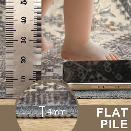 DEORAB 5x7 Ultra-thin Area Rugs for Living Room Bedroom, Machine Washable Stain Resistant Non-Shed Carpet, Low Pile Mat with Non Slip Ultra-thin Backing