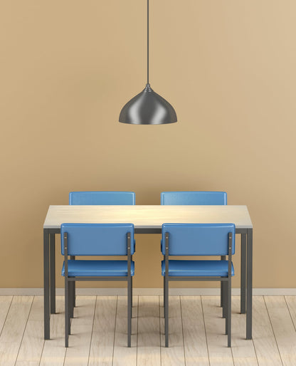 Black Metal Single Hanging Light