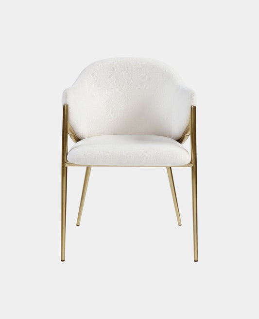 Luxury Brass Mink Velvet Dining Chair