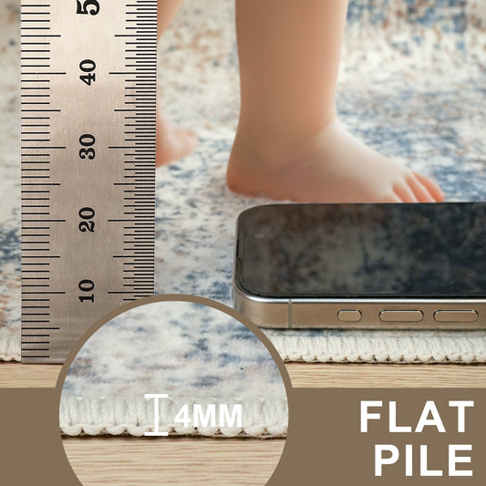 DEORAB 5'x7' Area Rugs for Living Room, Non Slip Machine Washable Vintage Indoor Rug, Low Pile Print Rug for Bedroom Dining Room Home Office