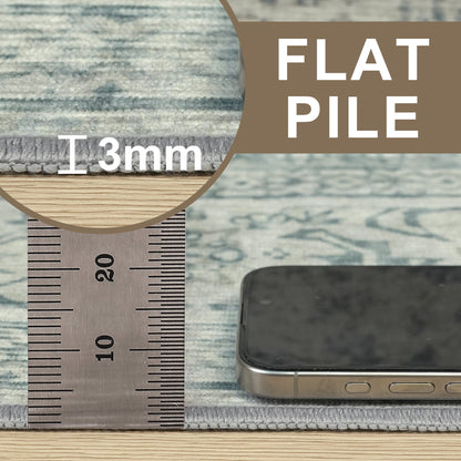 DEORAB 3X5 Area Rugs for Living Room, Machine Washable Bedroom Rugs Distressed Vintage Print Large Throw Rug Dining Room Aesthetic, Non Slip Ultra-thin Carpet with Gripper