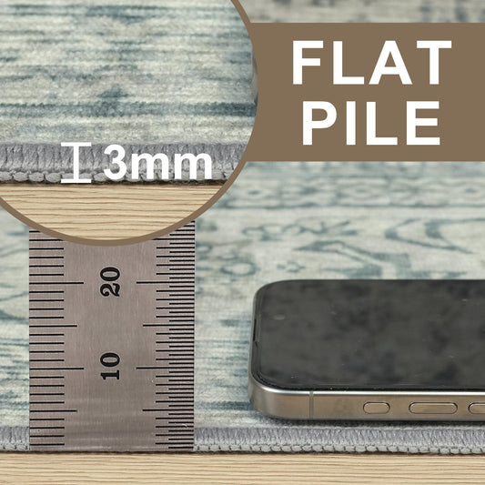 DEORAB 3X5 Area Rugs for Living Room, Machine Washable Bedroom Rugs Distressed Vintage Print Large Throw Rug Dining Room Aesthetic, Non Slip Ultra-thin Carpet with Gripper