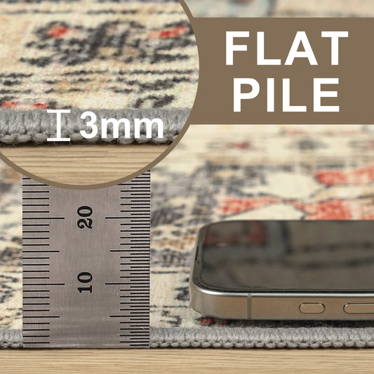 DEORAB 3X5 Area Rugs for Living Room, Machine Washable Bedroom Rugs Distressed Vintage Print Large Throw Rug Dining Room Aesthetic, Non Slip Carpet with Gripper, Ultra-Thin