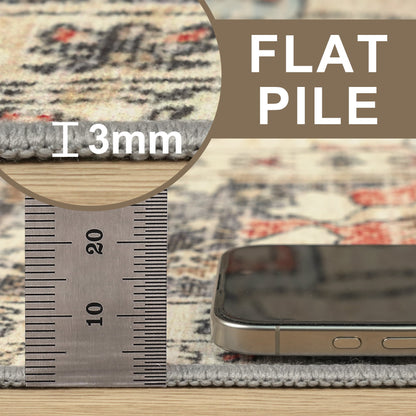 DEORAB 8X10 Area Rugs for Living Room, Machine Washable Bedroom Rugs Distressed Vintage Print Large Throw Rug Dining Room Aesthetic, Non Slip Carpet with Gripper, Ultra-Thin