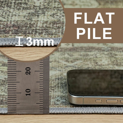 DEORAB 8x10 Ultra-thin Area Rugs for Living Room Bedroom, Machine Washable Stain Resistant Non-Shed Carpet, Low Pile Mat with Non Slip Backing